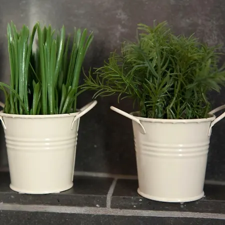 Le - Di Fronte Ospedale Sacro Cuore Frühstückspension Negrar